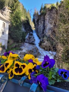Bad Gastein Wasserfall mit Blumen davor