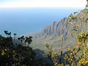 Meer, hochaufragende Feldklippen in üppigem Grün. 
