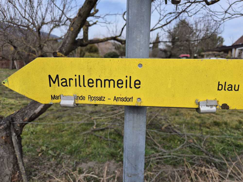 Gelbes Schild mit der Aufschrift "Marillenmeile".