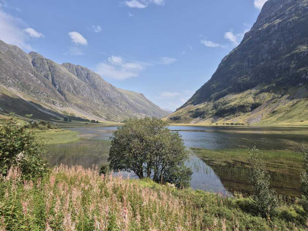 Schottische Landschaft mit einem Gewässer zwischen zwei Hügelketten. Im Vordergrund sieht man einen Baum, Büsche und Blumen.